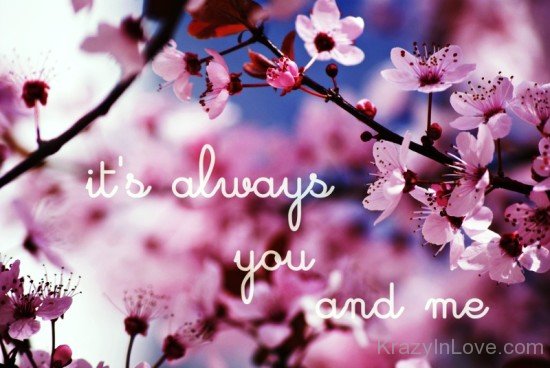 It's Always You And Me-dc308