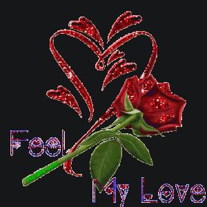 Feel Love