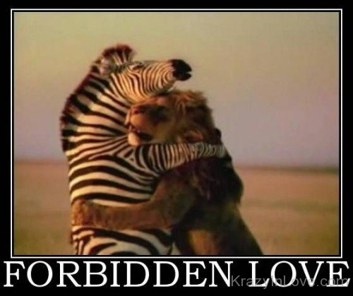 Forbidden Love