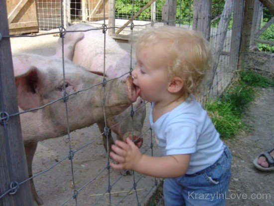 Funny Animals With Kids