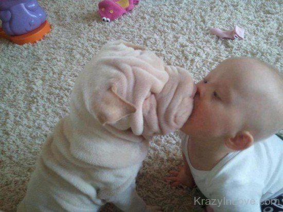  Baby WithPuppy