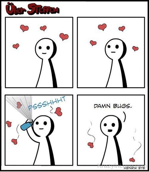 Funny Love Bug