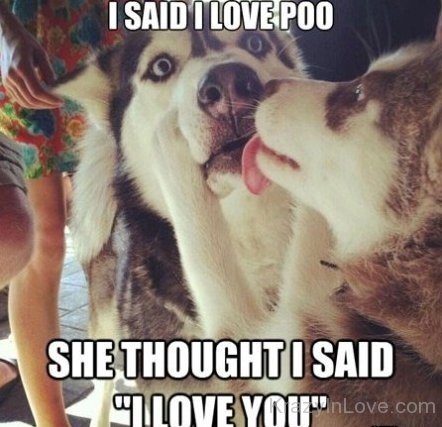 I Said I love Poo