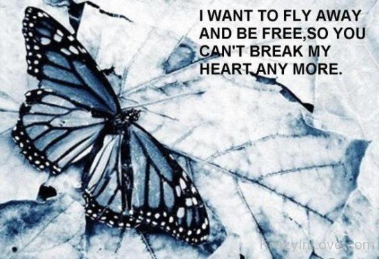 I Want To Fly Away