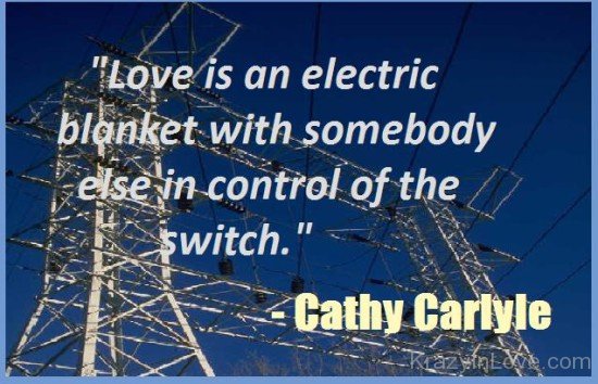 Love Is Electric Blanket