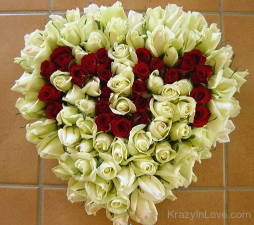Make Beautiful Heart With White And Red Roses
