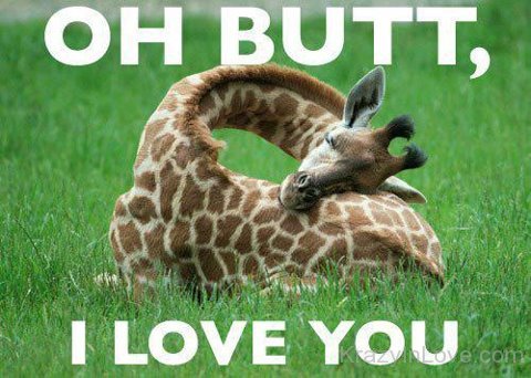Oh Butt I Love You