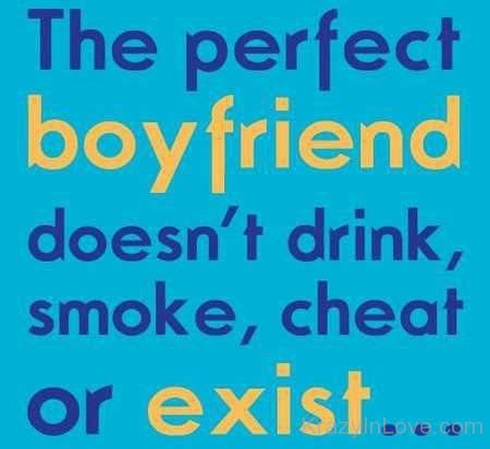The Perfect Boyfriend