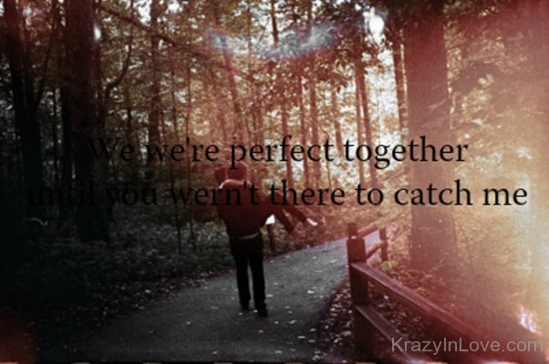 We Were Perfect Together