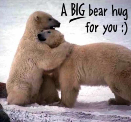 A Big Bear Hug For You