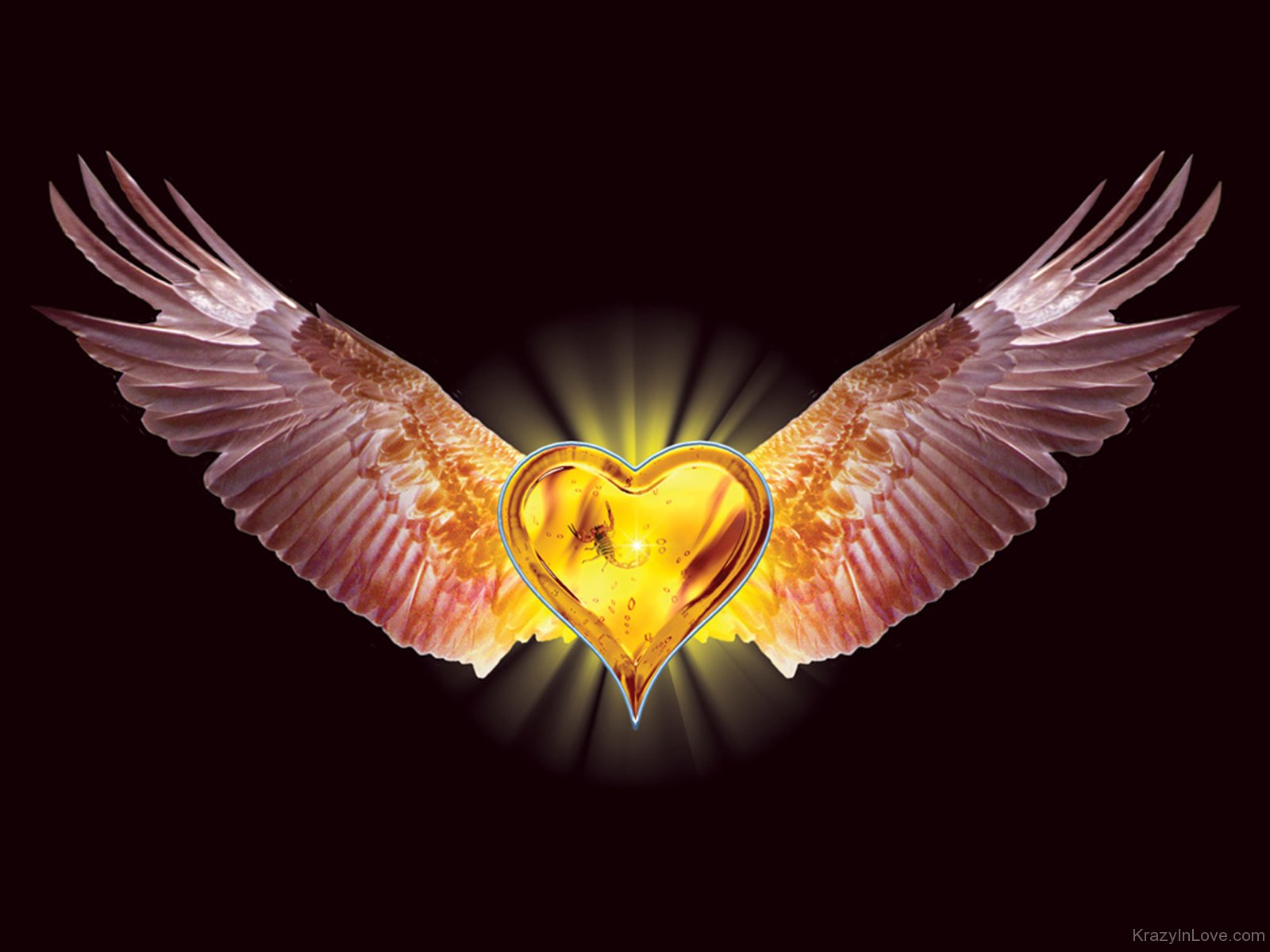 24 k gold hearts with wings - Imgflip