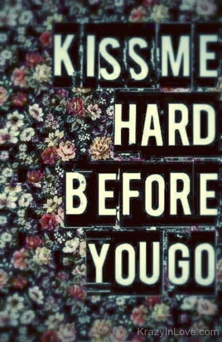 Kiss Me Hard Before You Go Image