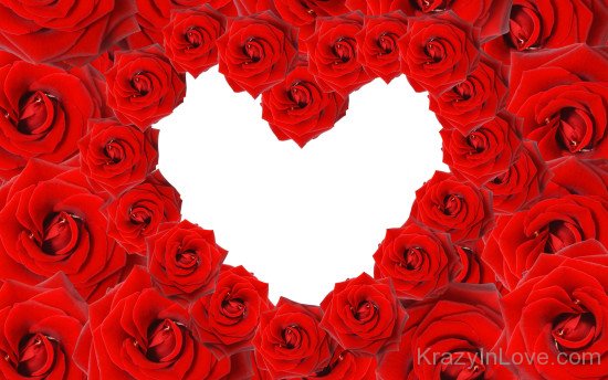Red Roses Heart Image