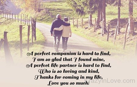 A Perfect Life Partner Is Hard To Find