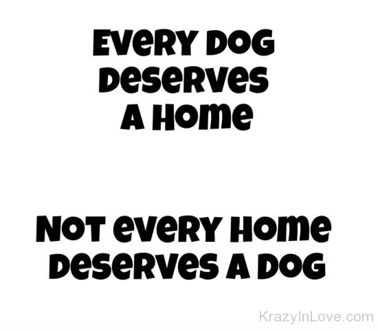 Every Dog Deserves A Home