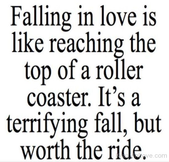 Falling In Love Is Like Reaching The Top Of A Roller Coaster