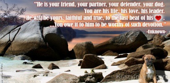 He Is Your Friend Your Partner