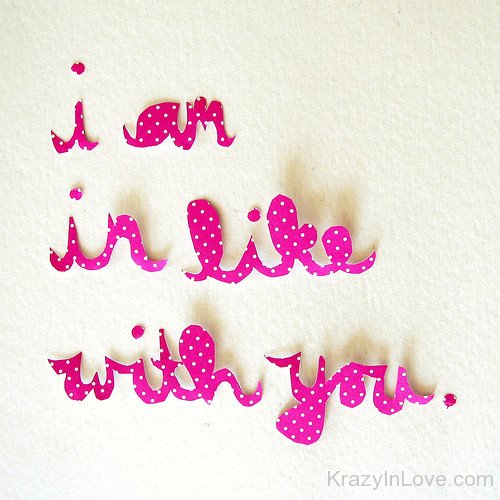 I Am In Like With You