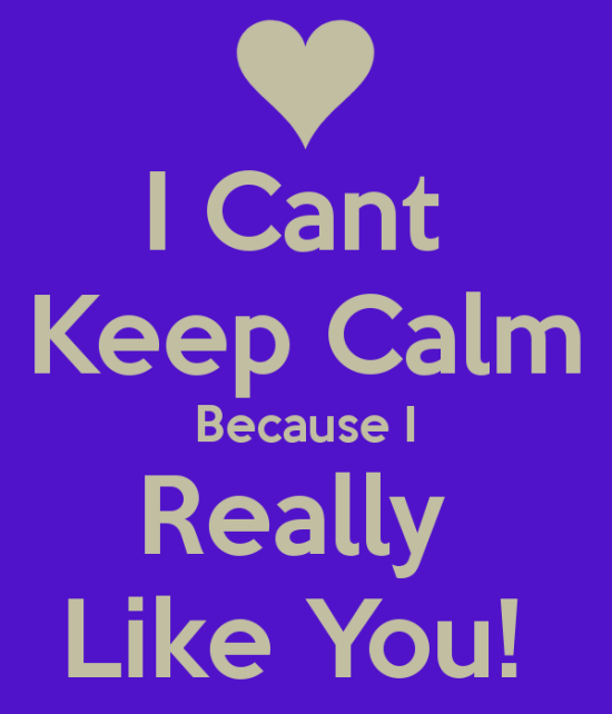 I Can't Keep Calm Because I Really Like You