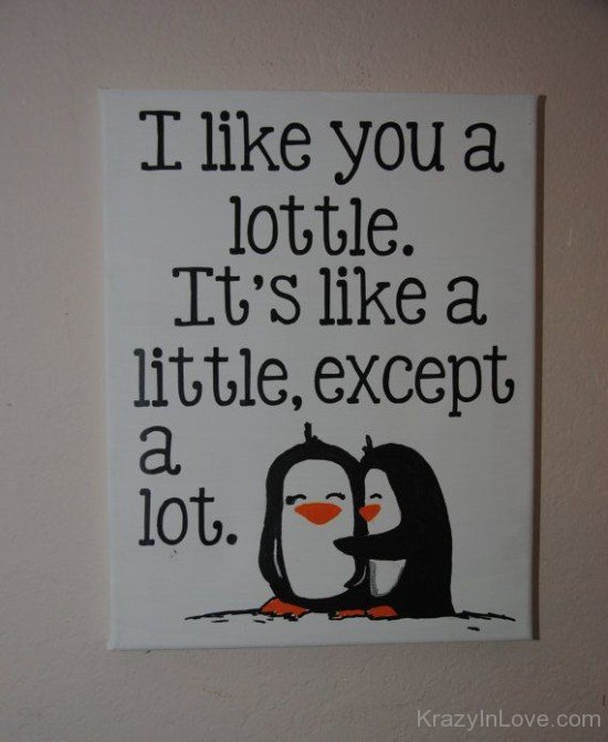 I Like You A Lottle