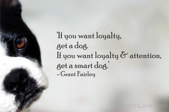 If You Want Loyalty