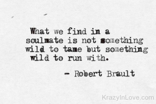 What We Find In A Soulmate Is Not Something Wild