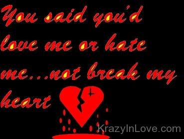 You Said You'd Love Me Or Hate Me Not Break My Heart