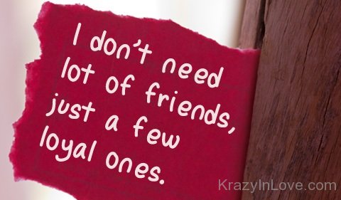 I Don't Need Lot Of Friends Just A Few Loyal Ones