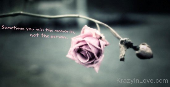 Sometimes You Miss The Memories Not The Person