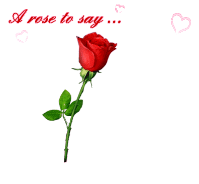 A Rose To Say