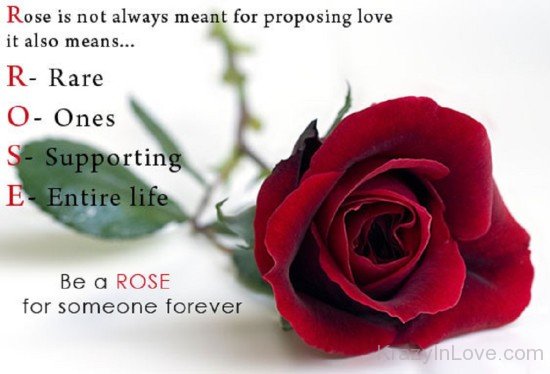 Be A Rose For Someone Forever