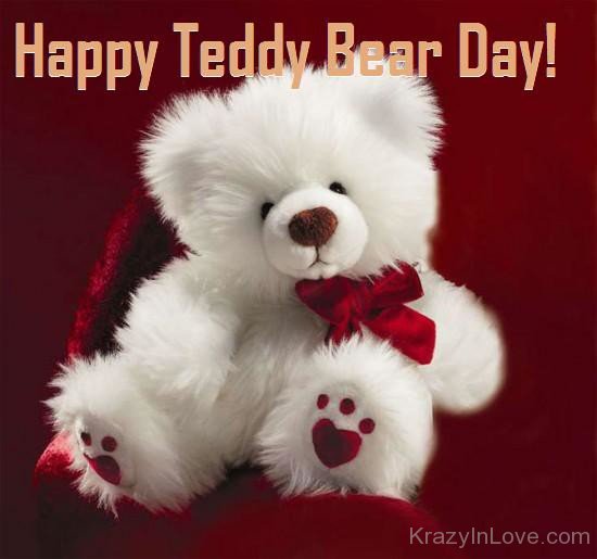 Cute White Teddy Bear Day