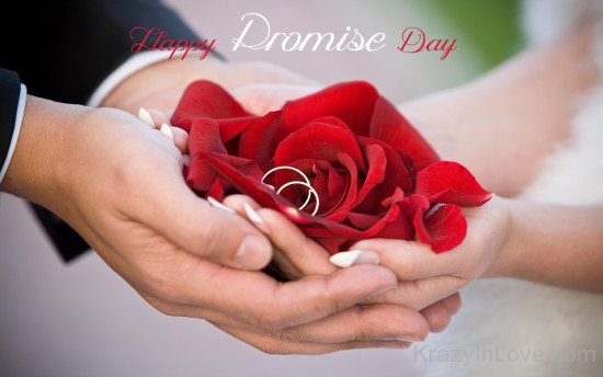 Happy Promise Day With Red Rose