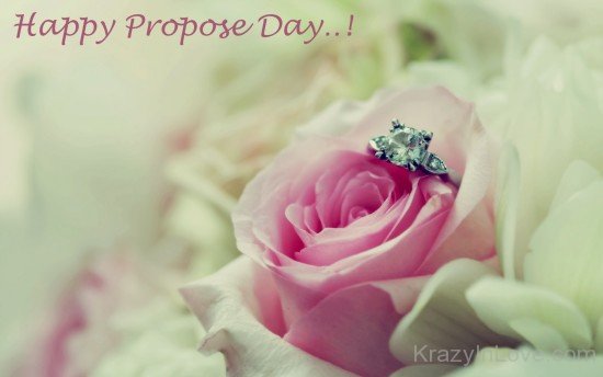 Happy Propose Day Pink Rose Image