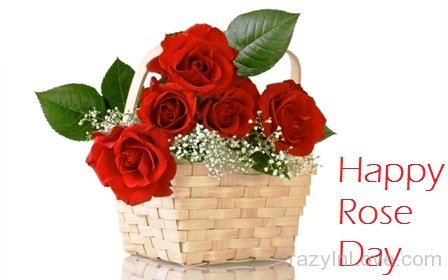 Happy Rose Day Flowers Bucket