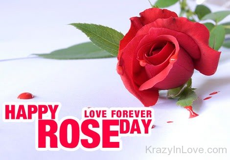 Happy Rose Day Love Forever
