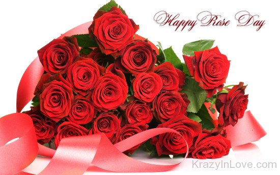 Happy Rose Day Pink Rose Image