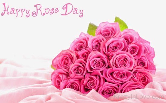 Happy Rose Day With Beautiful Roses