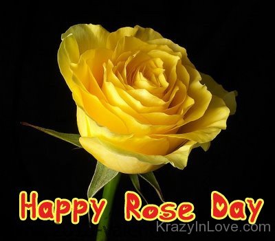 Happy Rose Day Yellow Rose