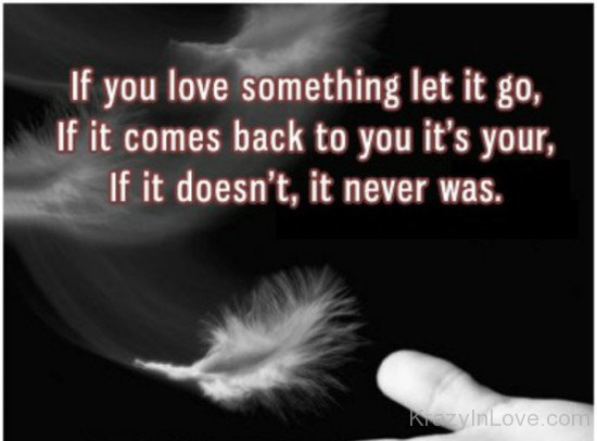 If You Love Something Let It Go