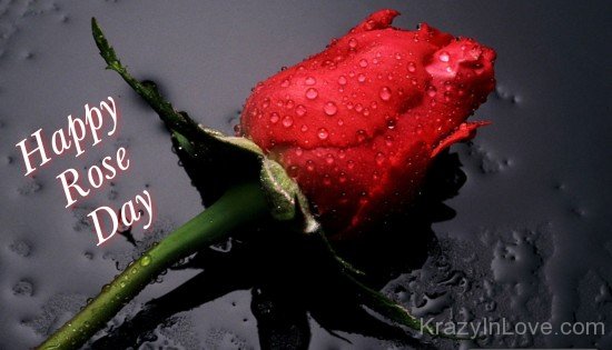 Image Of Happy Rose Day