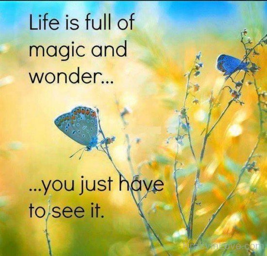 Life Is Full Of Magic