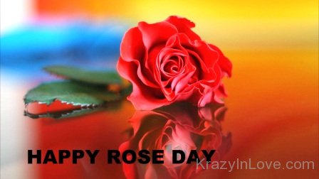 Photo Of Happy Rose Day