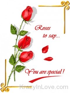 Roses To Say You Are Special
