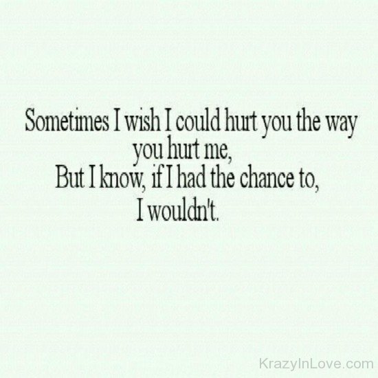 Sometimes I Wish I Could Hurt You The Way You Hurt Me