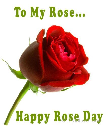 To My Rose Happy Rose Day