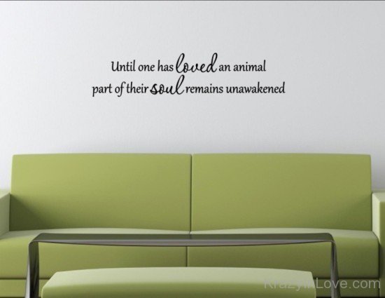 Untill One Has Loved An Animal
