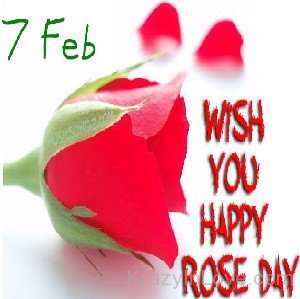 Wish You Happy Rose Day