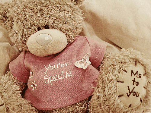 You're Special Teddy Image