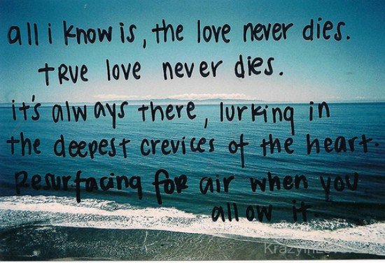 All I Know Is The Love Never Dies